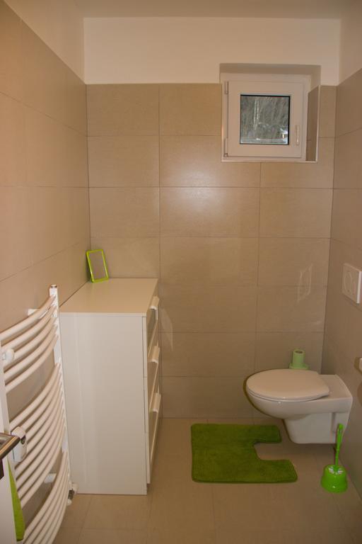 Apartman V Zeleni Dolni Morava Room photo
